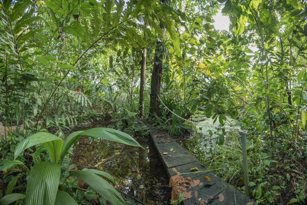 Del Rio La Fortuna
