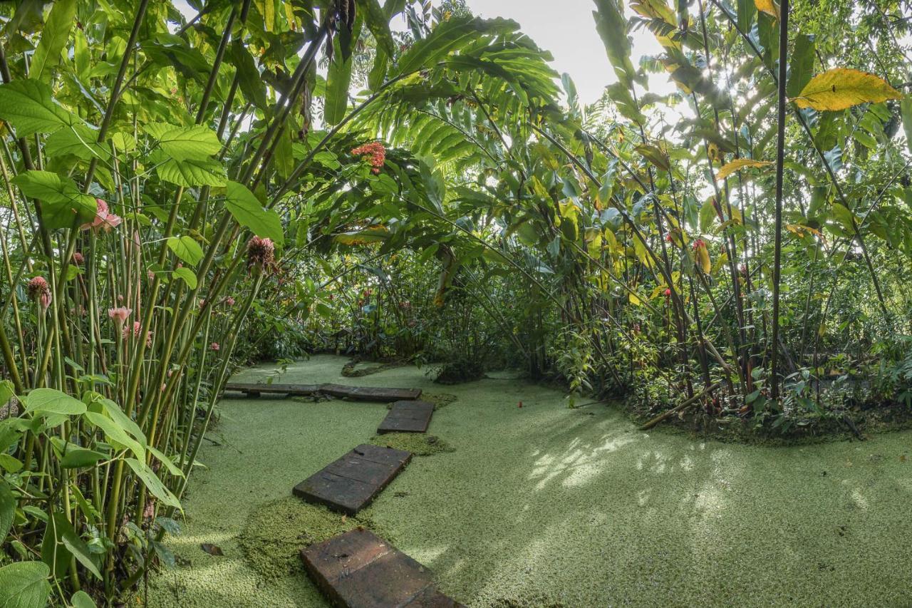 Aparthotel Del Rio La Fortuna